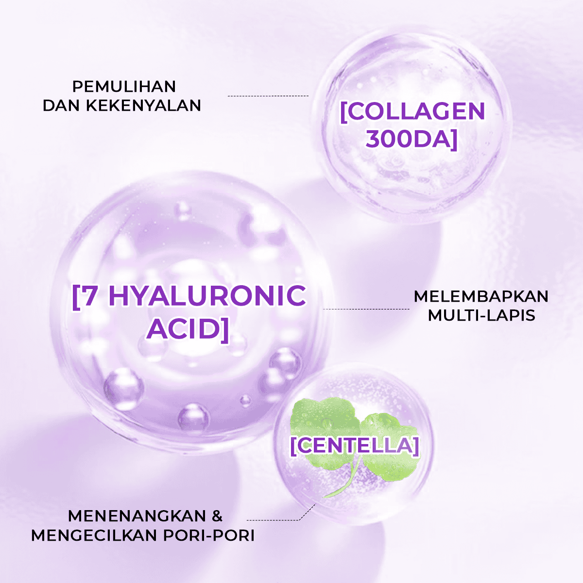 Paket Moisture Cloud Mask